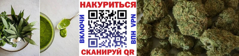 Cannafood конопля  Купить  Королёв 