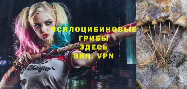 кокс Инсар