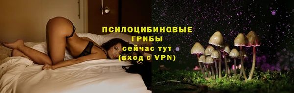 кокс Инсар