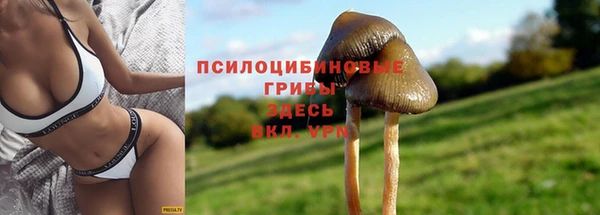 mdma Иннополис