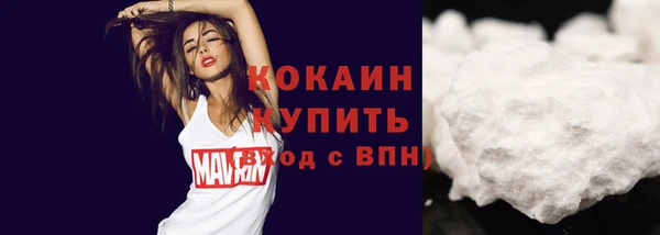 кокс Инсар