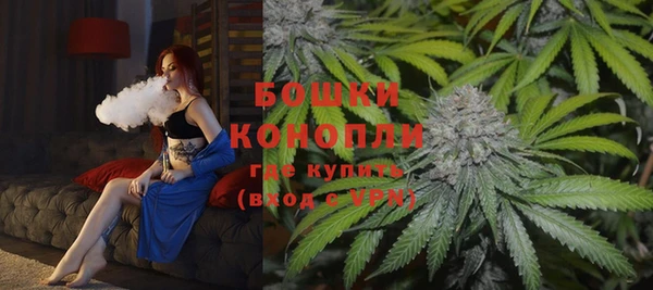 кокс Инсар